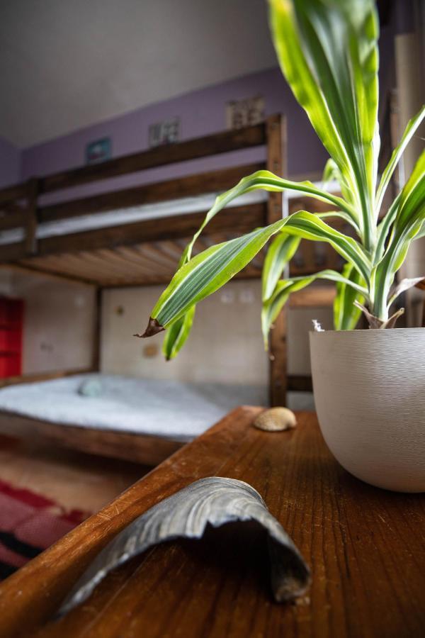 Natural Mystic Hostel Costa da Caparica Bagian luar foto